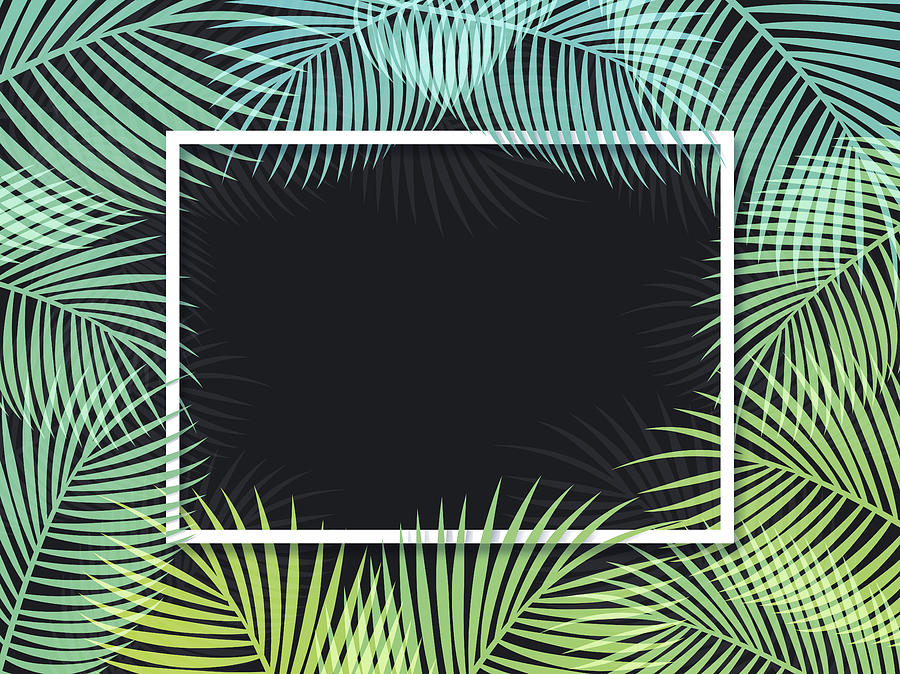 Palm Frame Background Drawing by Filo