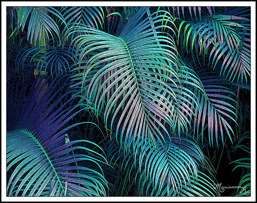 Palm Fronds Photograph by Mariarosa Rockefeller