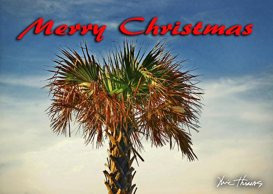 Palm Head Christmas Image Digital Art by Michael Thomas