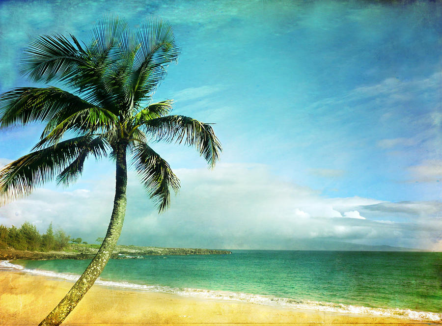 Palm In Paradise Photograph by Debbie Friley Photography