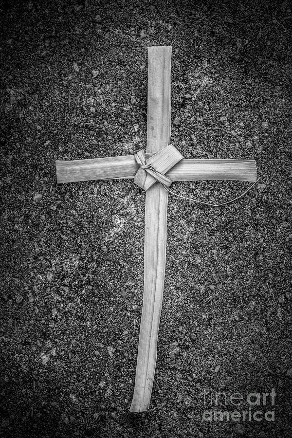 Palm Leaf Cross Black and White Photograph by Randy Steele