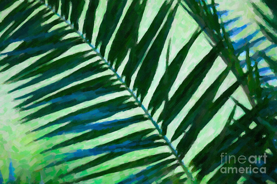 Palm Leaf Digital Art by Dale Powell