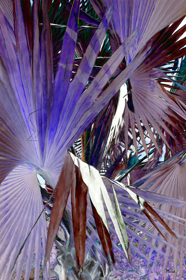 Palm Leaves Digital Art by Mike Darrah - Pixels