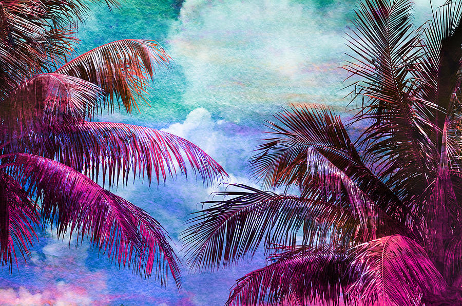 Palmscape Paradise Photograph by Laura Fasulo
