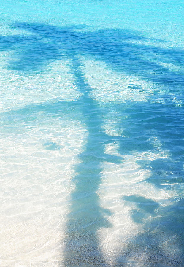 Palm Shadow On The Blue Water Photograph
