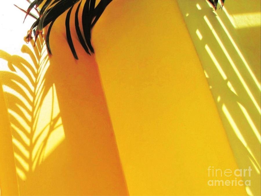 H Palm Shadow on Yellow Wall - Horizontal  Painting by Lyn Voytershark