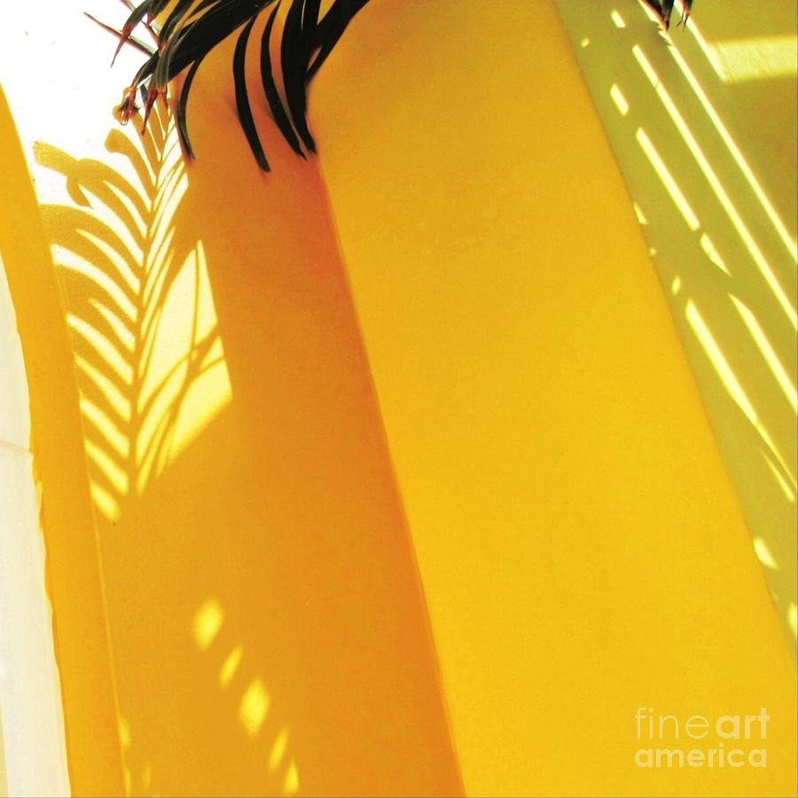 S Palm Shadow on Yellow Wall - Square Painting by Lyn Voytershark
