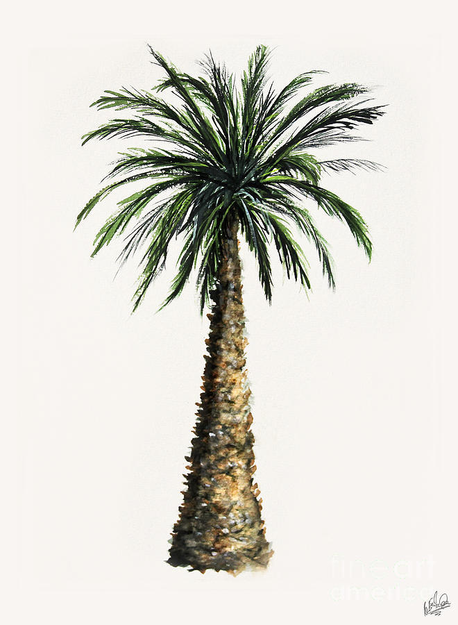 Bottle Palm Sketch 2 Painting by Walt Foegelle