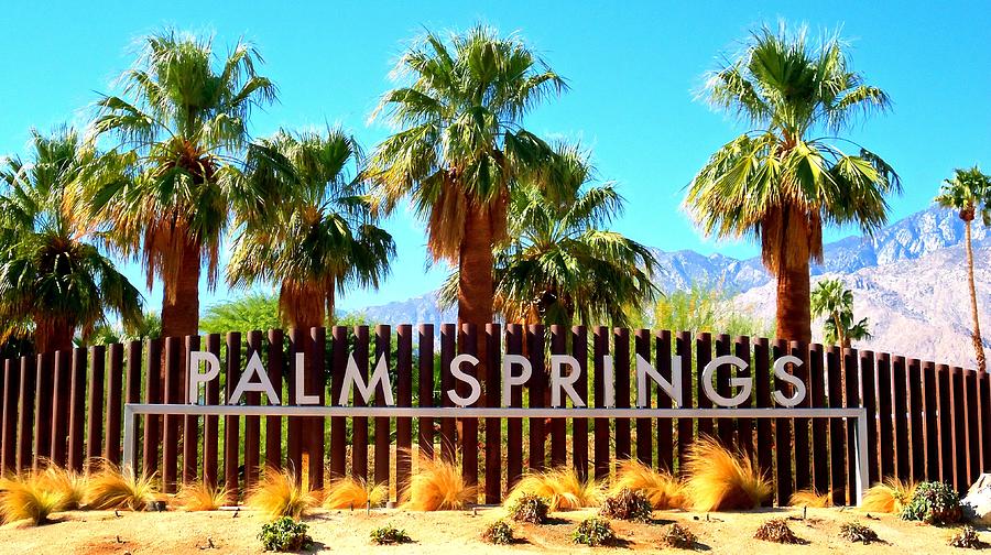 Palm Springs 1 Photograph by Ron Kandt