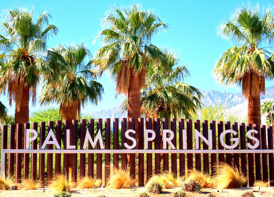 Palm Springs 2 Photograph by Ron Kandt