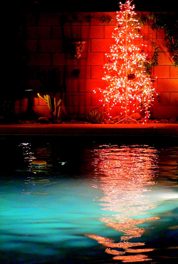 Palm Springs Christmas Photograph by Randall Weidner