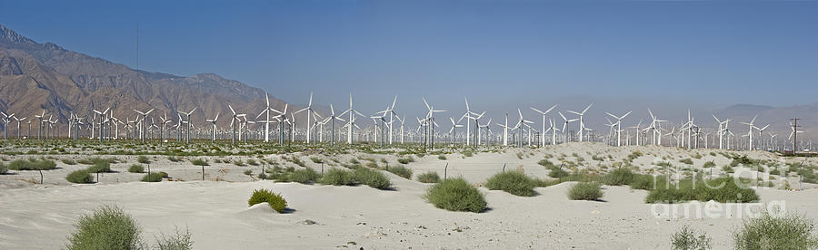 Palm Springs green energy Wind Turbines Farm San Gorgonio pass Coachella Valley Photograph by David Zanzinger