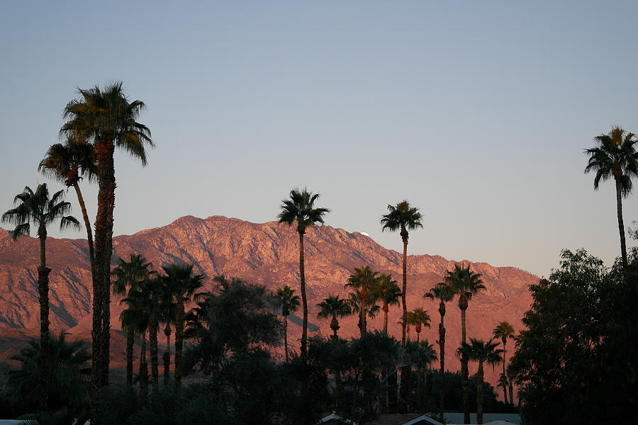Palm Springs Morning Photograph by Pat Purdy