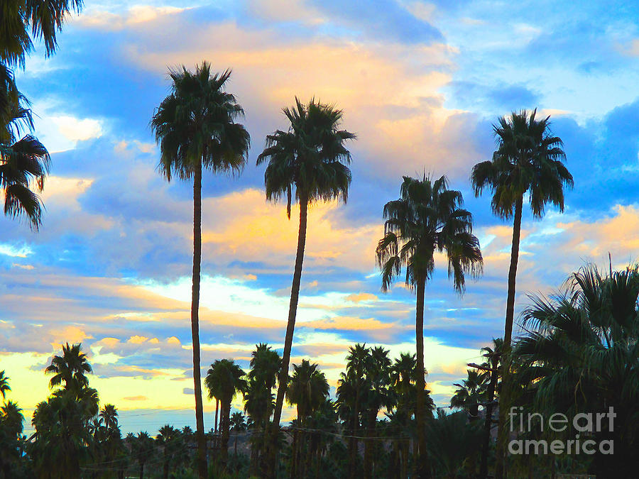 Sunset Photograph - Palm Springs Sunset by Jerome Stumphauzer