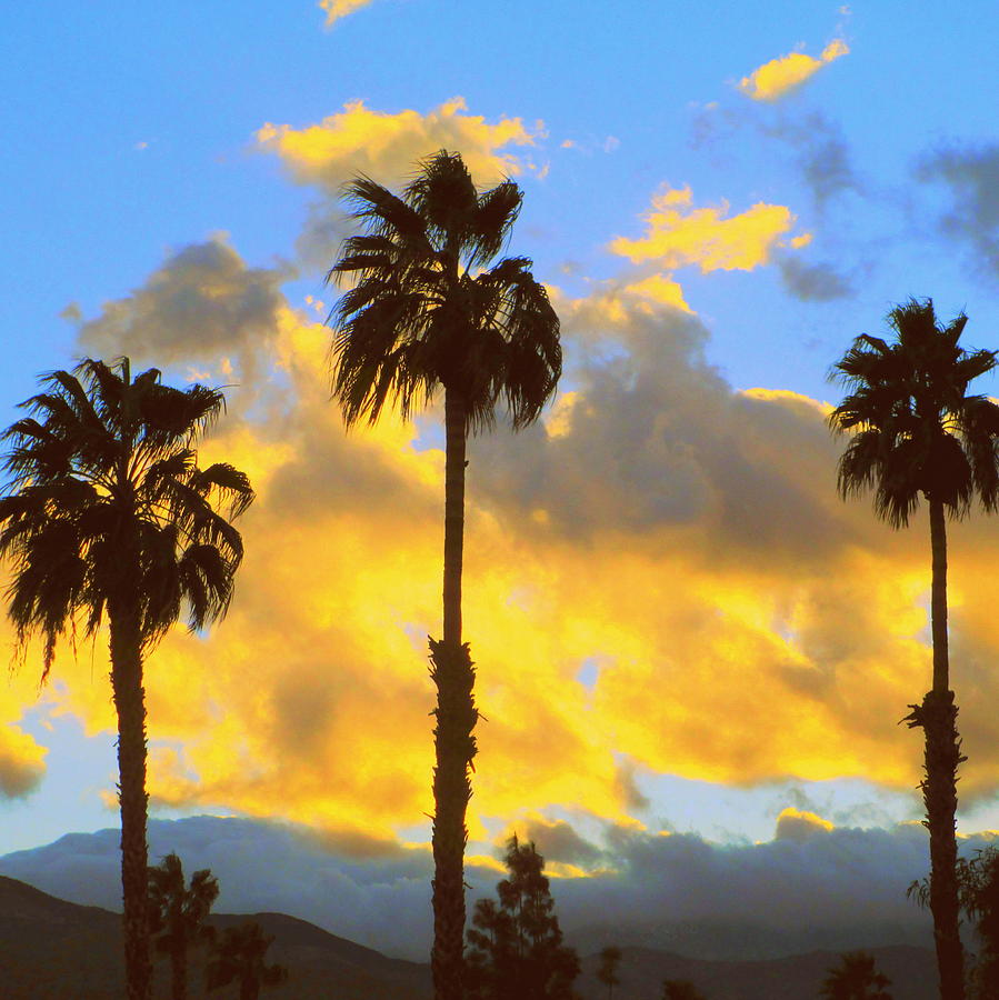Palm Springs Sunset Two Photograph by Randall Weidner
