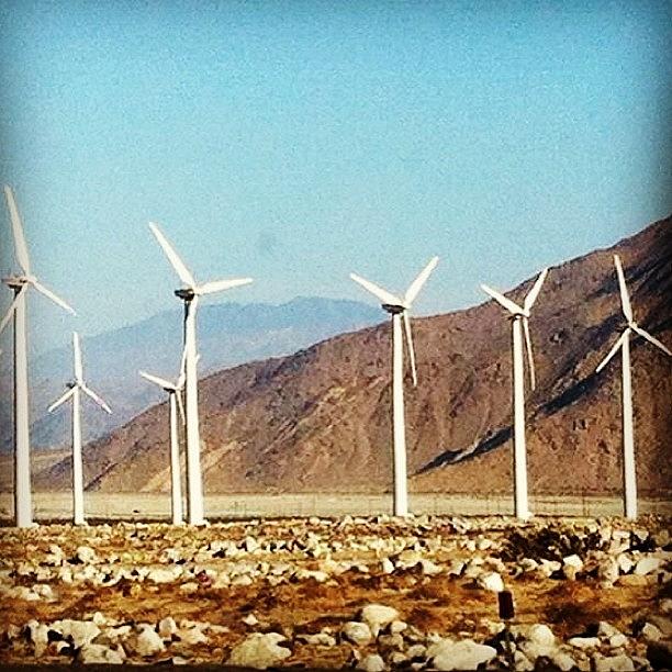 Palm Springs Wind Farm Photograph by Bryan Vincent