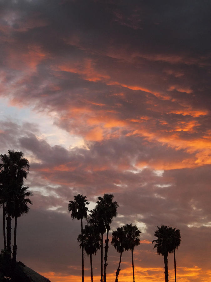 Palm Sunset - California Photograph by Glenn McCarthy Art and Photography