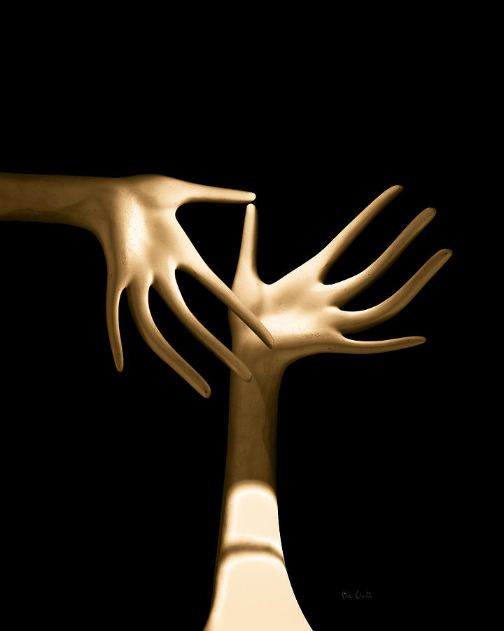 Surrealism Photograph - Palm Tickle by Bob Orsillo