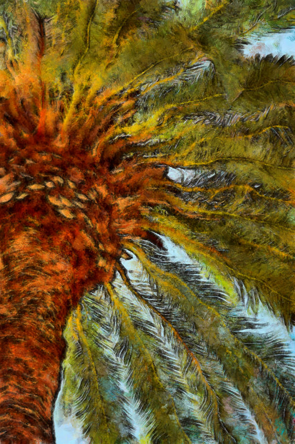 Palm Tree Abstract Digital Art by Ernest Echols