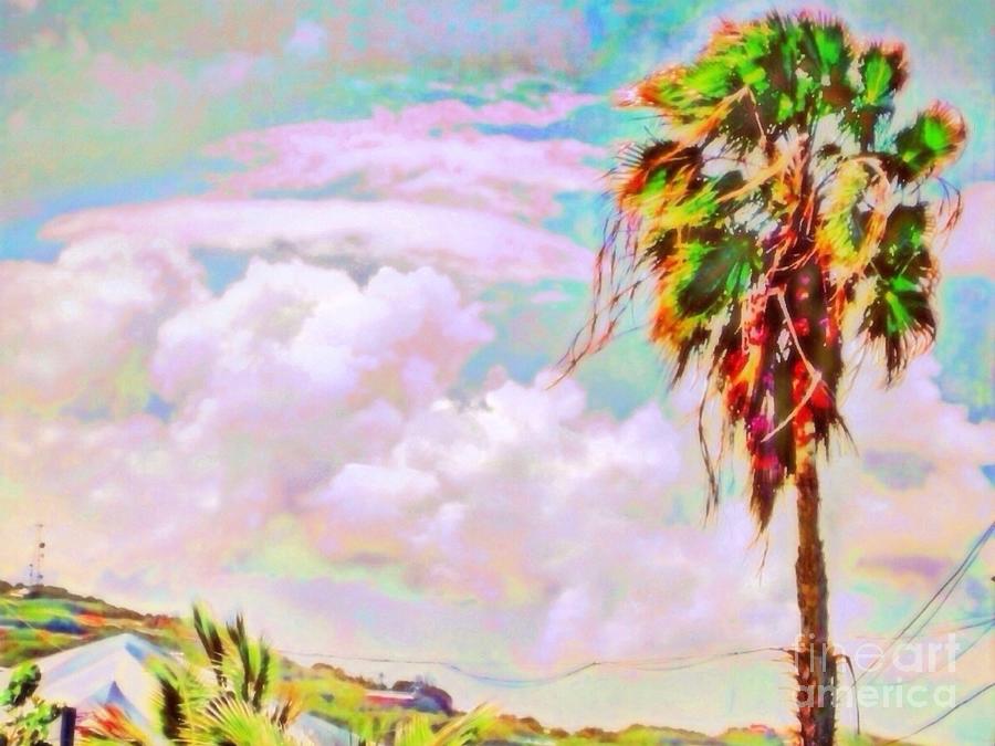 H Palm Tree Against Pastel Sky - Horizontal Digital Art by Lyn Voytershark
