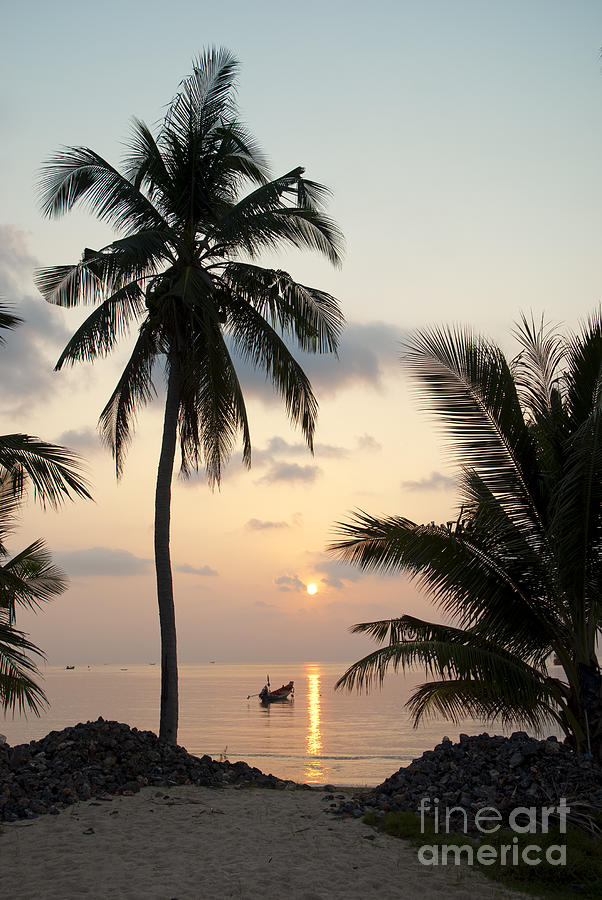Palm Tree And Boats At Sunset On Tropical Island Photograph by JM Travel Photography