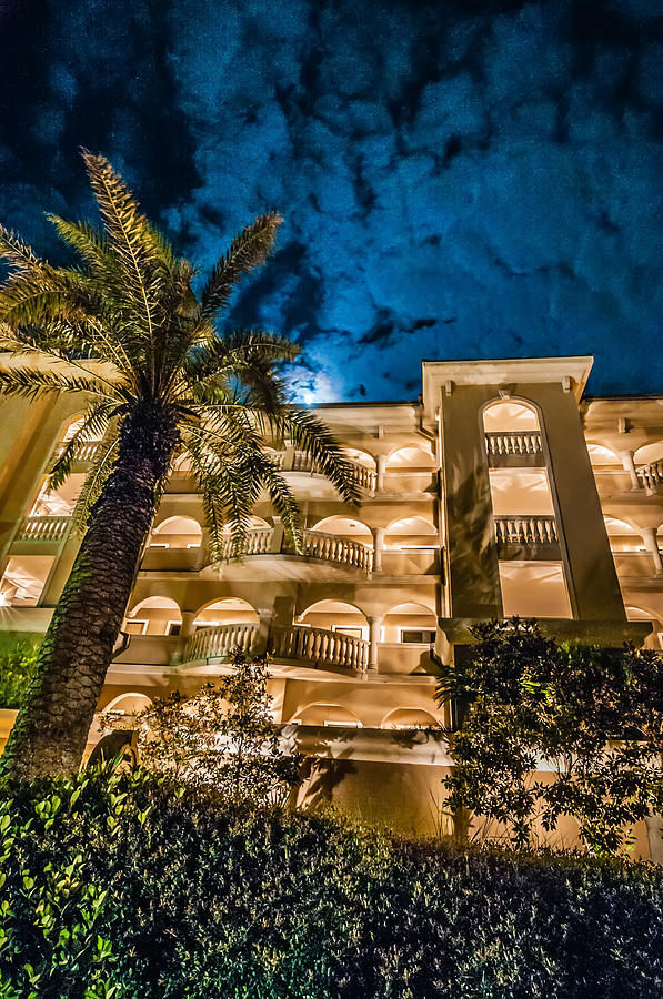 Palm Tree At Night Near Hotel Photograph