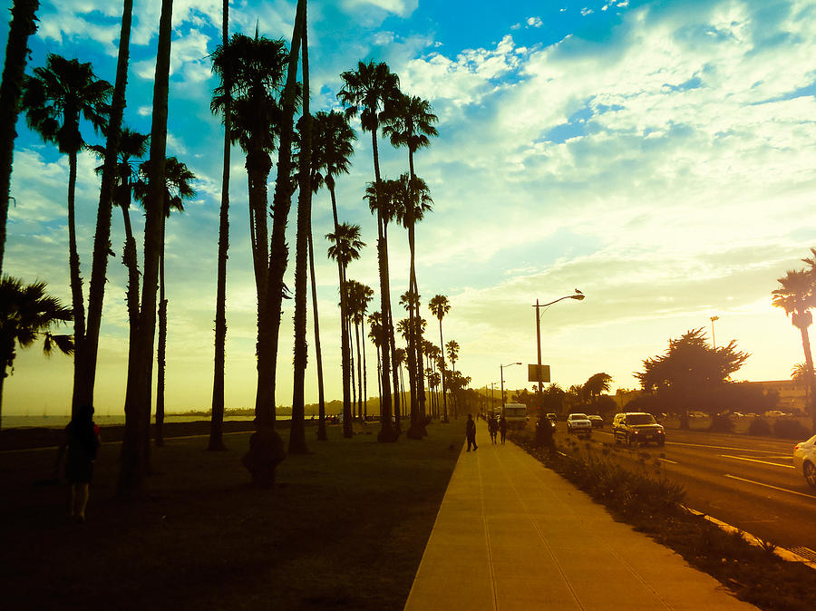 Palm Tree At Sunset On California - Usa Photograph by Franckreporter