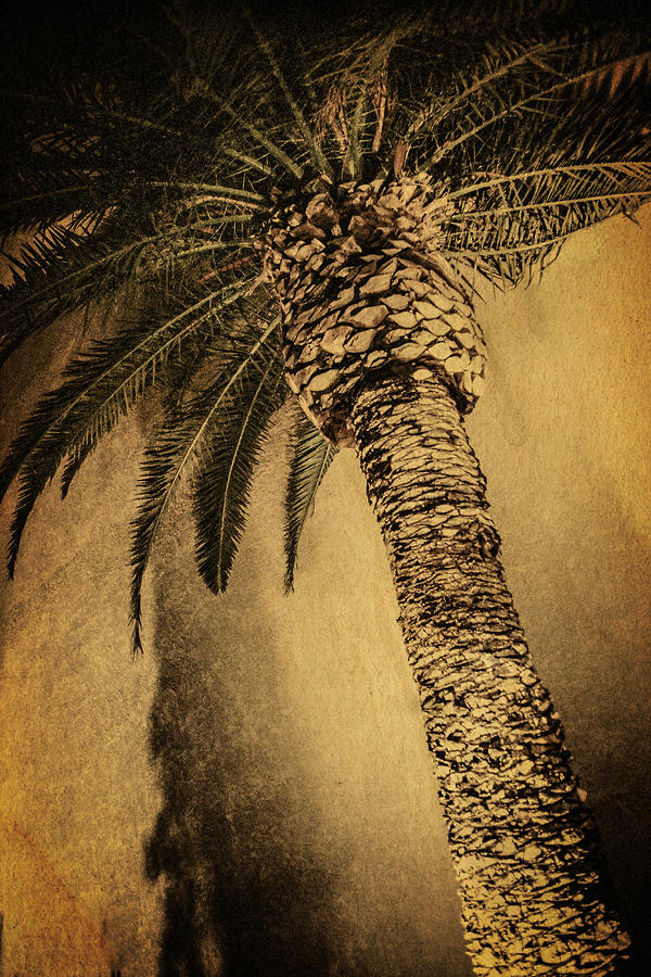 Architecture Photograph - Palm Tree at the Aladdin Casino by YoPedro