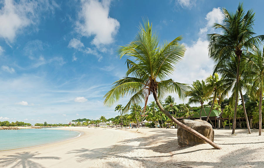 Palm Tree Beach Resort Sentosa Island Photograph by Fotovoyager
