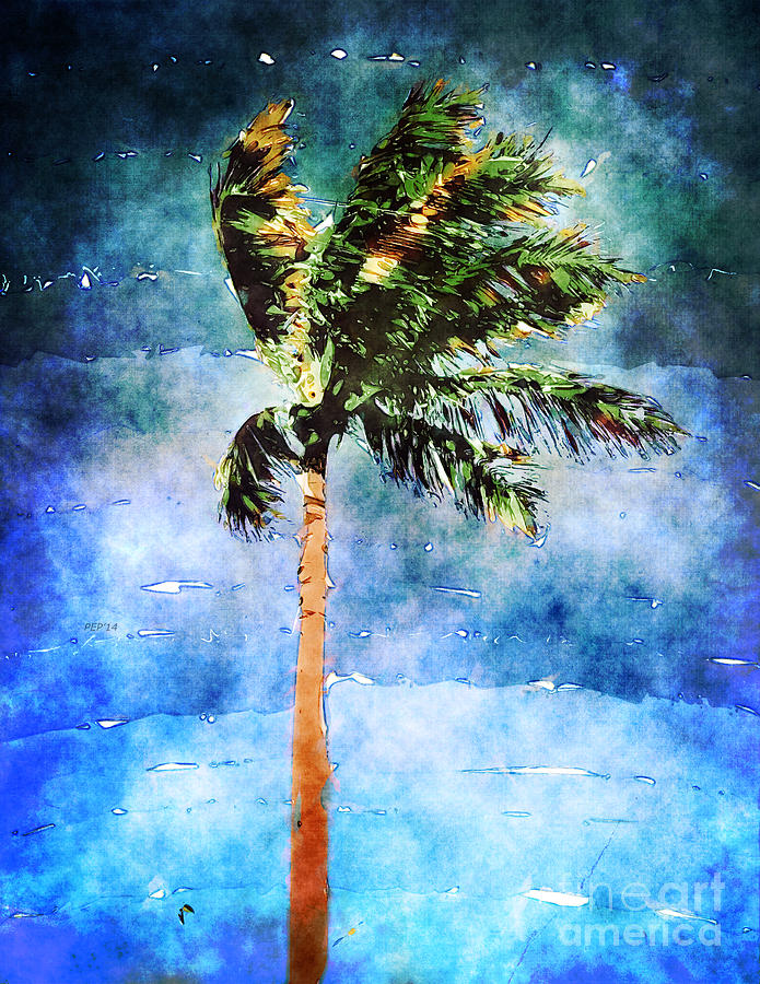 Palm Tree In A Tropical Storm Photograph by Phil Perkins