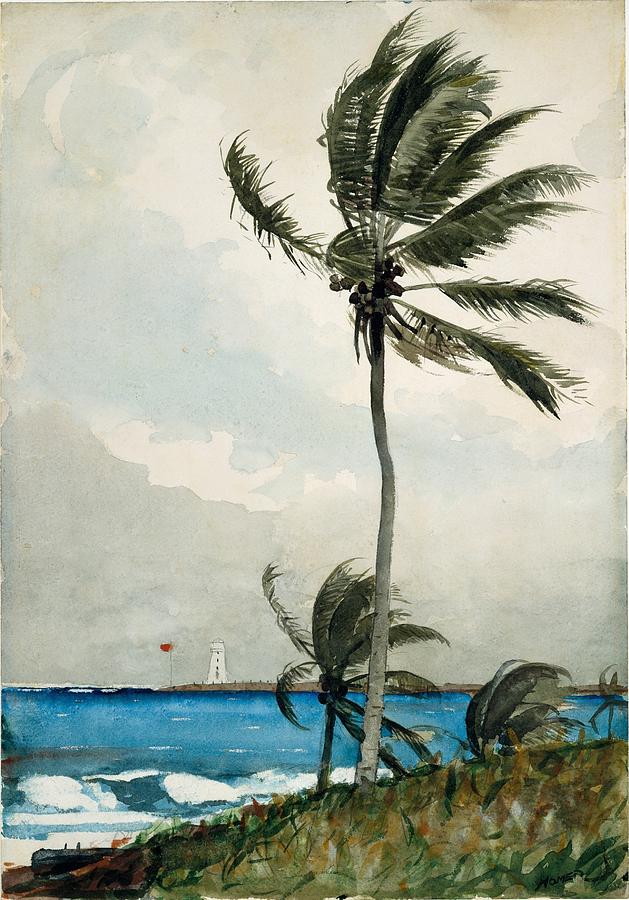 Winslow Homer Painting - Palm Tree Nassau by Winslow Homer