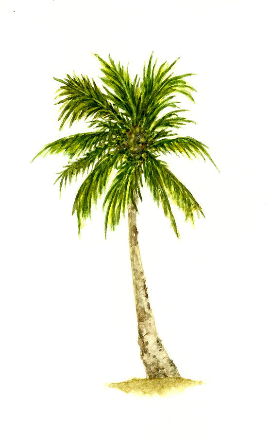 Coconut Palm Tree Painting by Michael Vigliotti