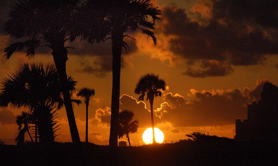 Palm tree Sunrise in Gulf Shores Digital Art by Michael Thomas