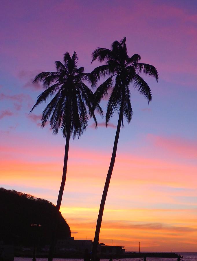 Sunset Photograph - Palm Tree Sunset at San Juan del Sur by Michelle Eshleman