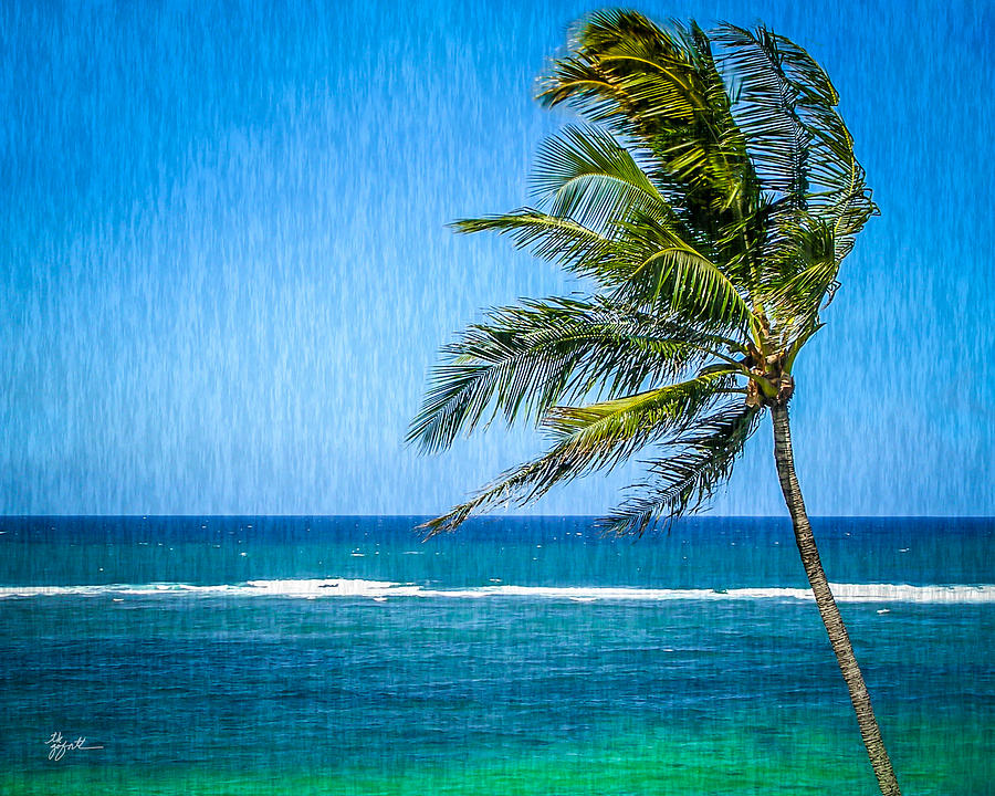 Palm Tree Swaying Photograph by TK Goforth