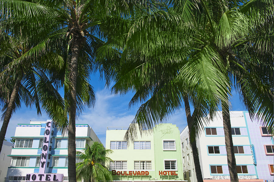 Palm trees and art deco buildings Photograph by Tetra Images
