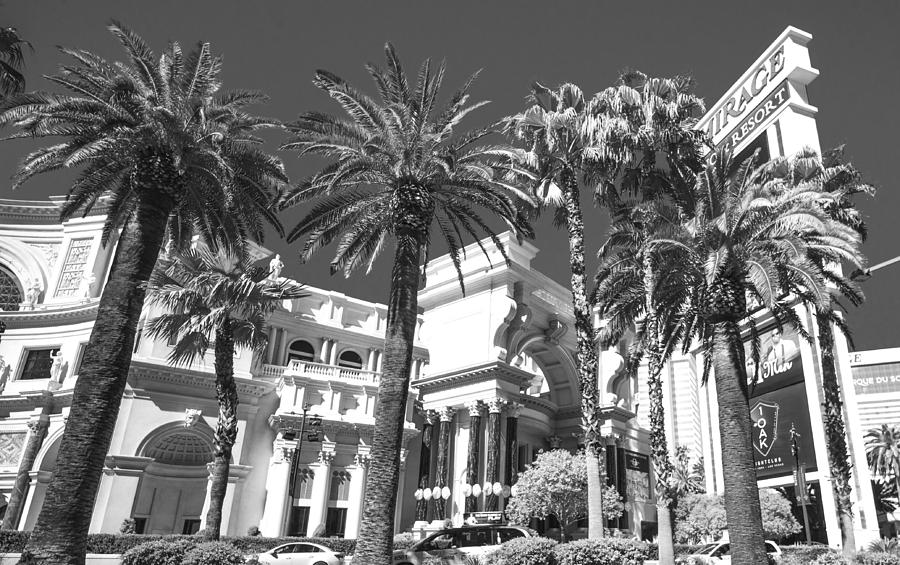 Palm Trees and Las Vegas Photograph by Susan Stone