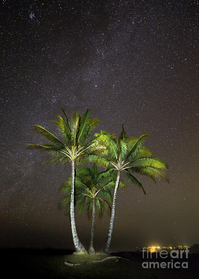 Palm Trees and Milky Way Galaxy Hanalei Bay Kauai Photograph by Dustin K Ryan