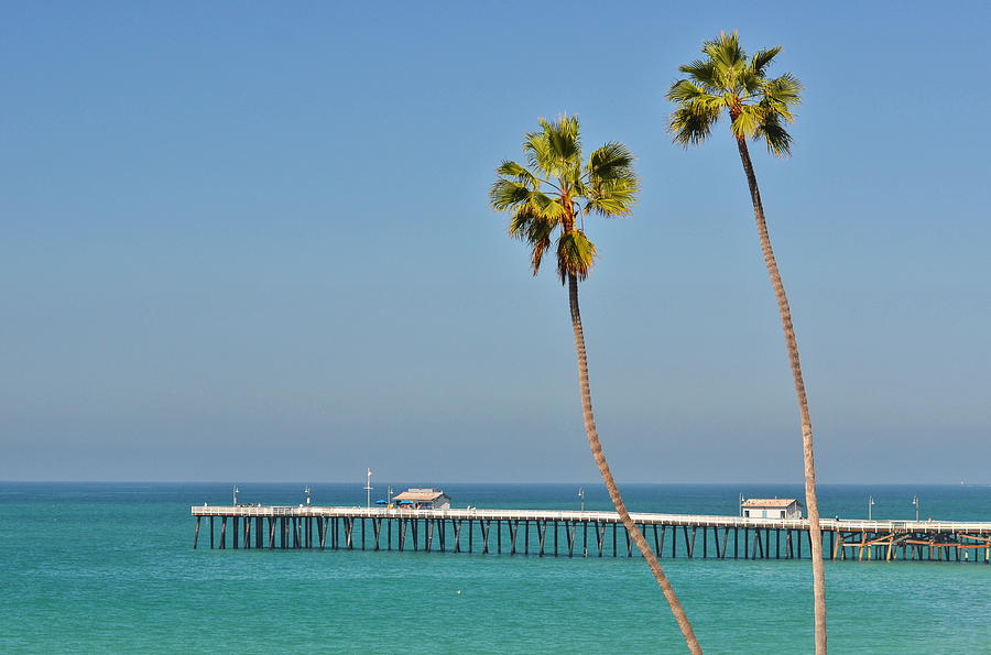 Palm Trees and Pier Photograph by Richard Cheski