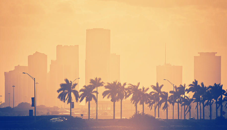 Palm Trees And Skyline In Miami Photograph by Thepalmer