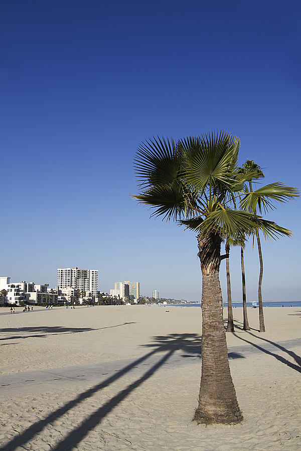 palm tree and sandy beach at Oxnard Beach, California, USA Tote