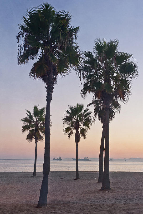 Palm Trees At Ocean Pacific Shore At Photograph by Alexandre Fp