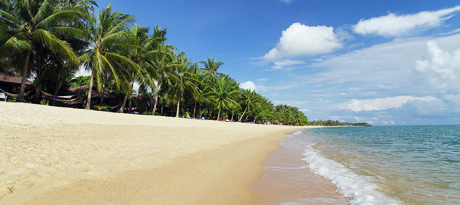 Palm Trees At Sandy Mae Nam Beach Photograph by Otto Stadler