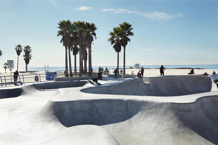 Palm Trees At Skate Park On Beach by Cultura Rm Exclusive/robin James