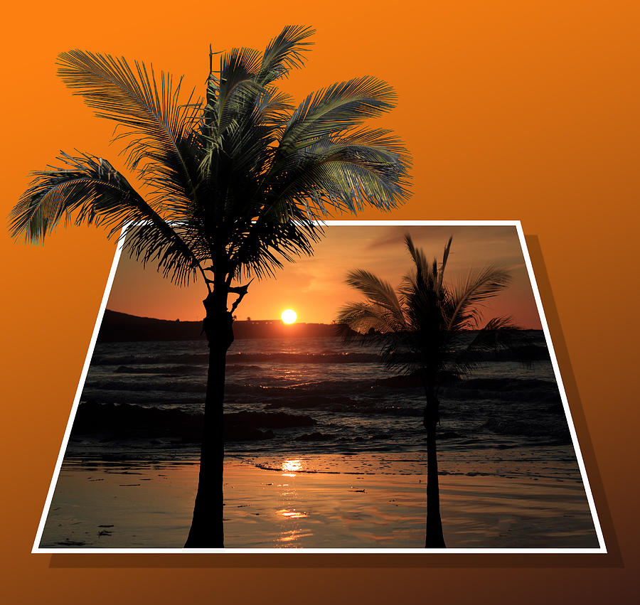 Sunset Photograph - Palm Trees at Sunset by Shane Bechler