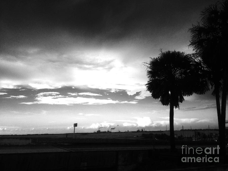 Palm trees dark clouds Photograph by WaLdEmAr BoRrErO