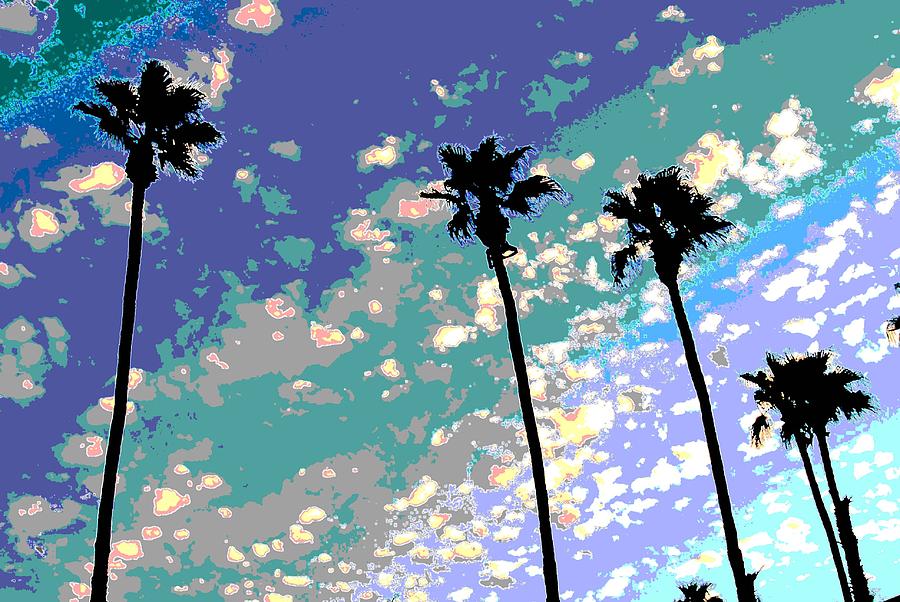 Palm Trees Delight Photograph by Edward Joseph Anthony Fine Art America