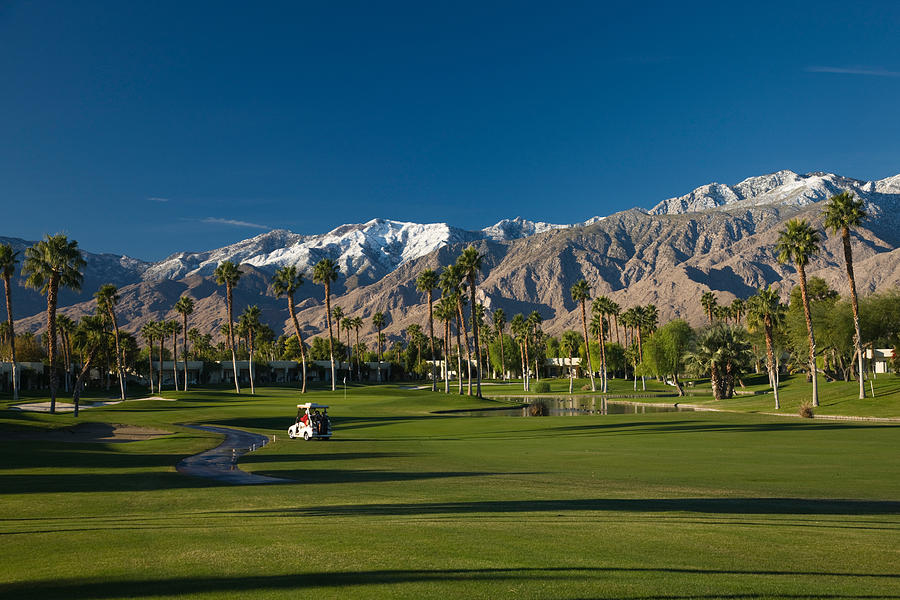 Palm Trees In A Golf Course, Desert Photograph by Panoramic Images ...