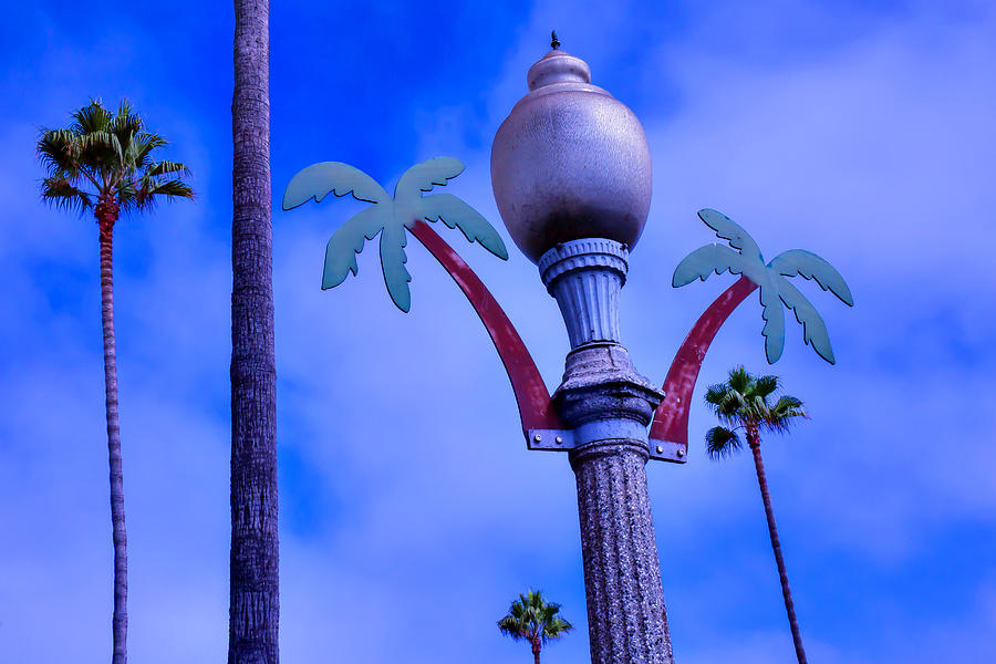 Lamppost Photograph - Palm Trees Lamp Post by Garry Gay