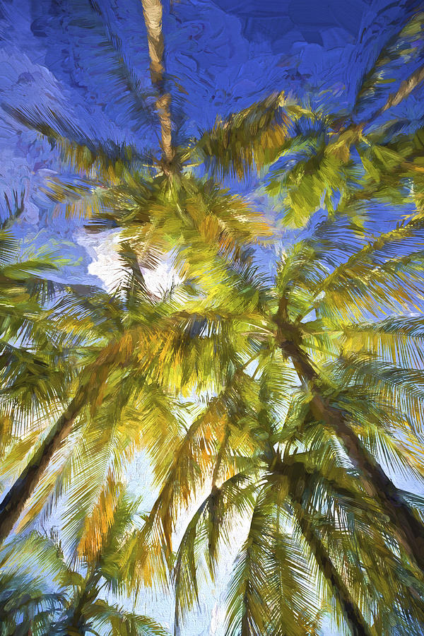 Palm Trees of Aruba Painting by David Letts